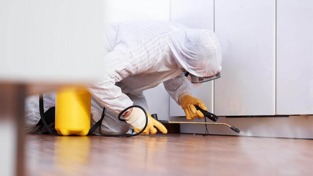 Pest Control home Florida Wild Life Emangement